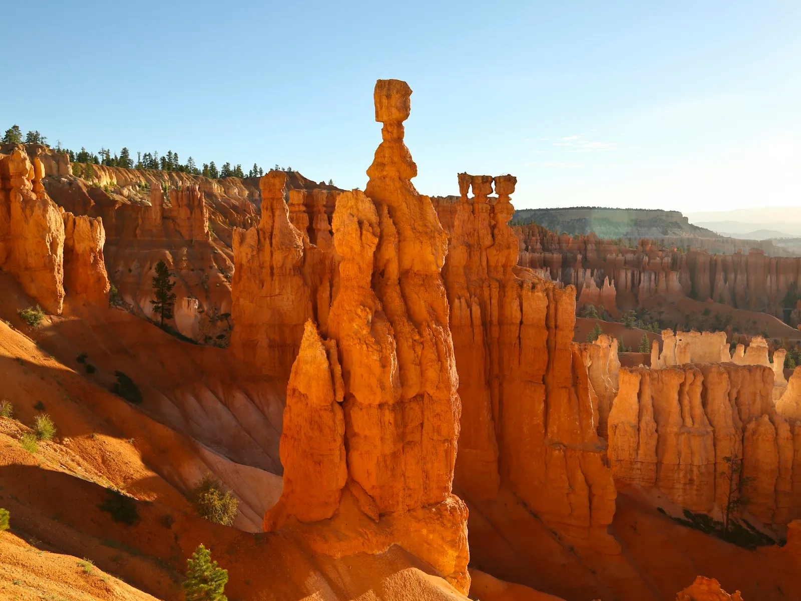 Hoodoos alaranjados do Bryce Canyon, com a formação Thor's Hammer em destaque na luz da manhã