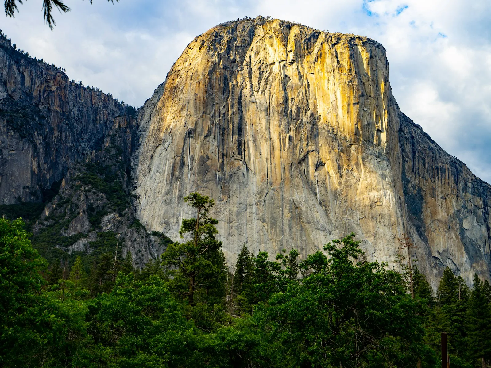 Paredão de granito do El Capitán iluminado pelo sol dourado, acima da floresta de pinheiros