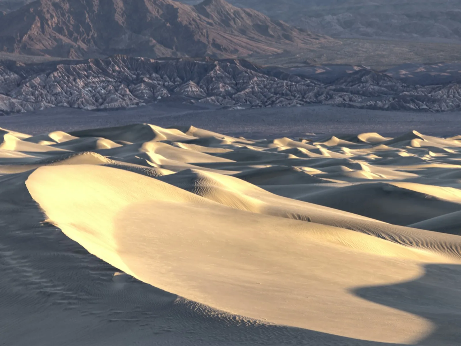 Dunas de areia de Mesquite Flat iluminadas pela luz rasante, com montanhas ao fundo