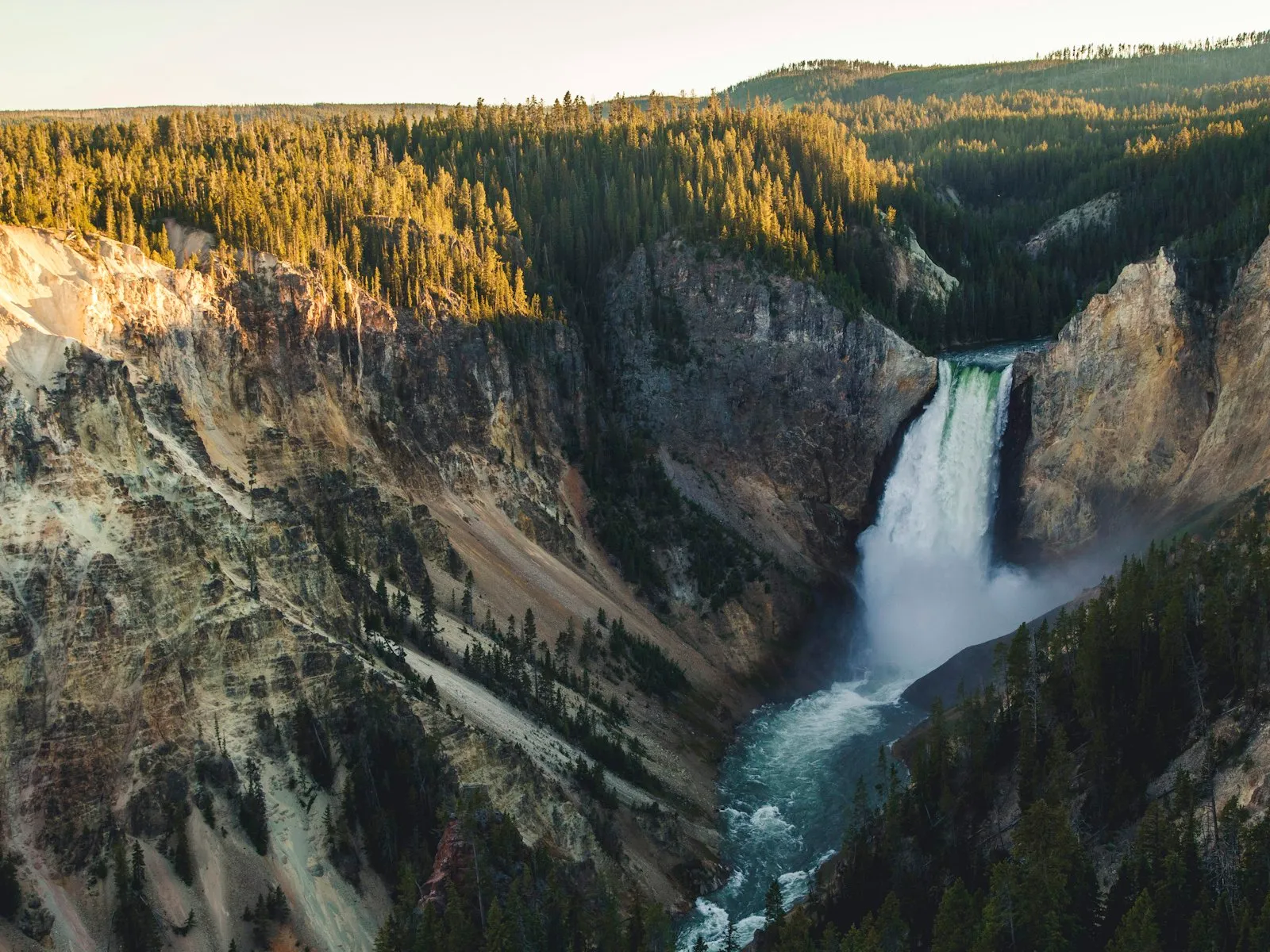 Lower Falls despencando no Grand Canyon of the Yellowstone, entre paredões amarelados e pinheiros